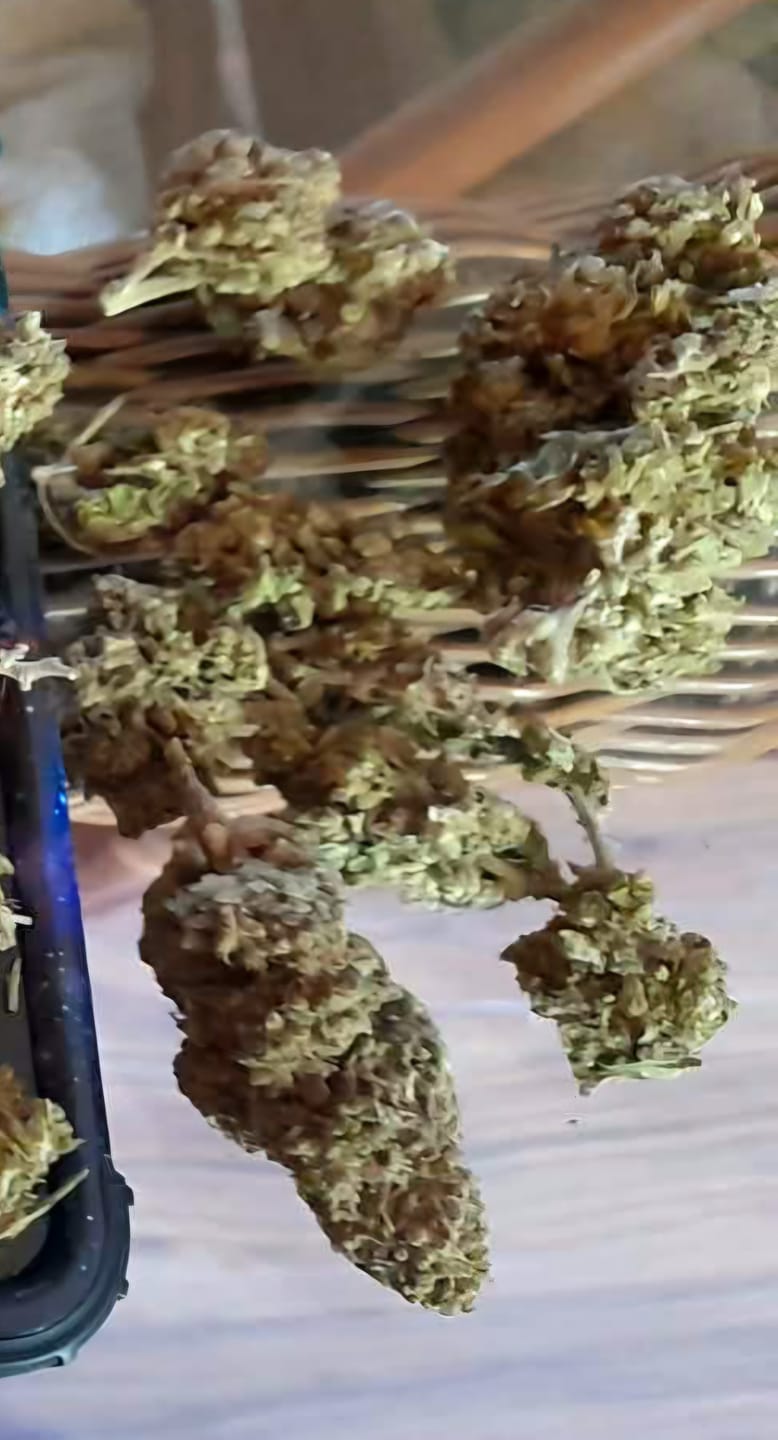 Customer photo review of Pineapple Express - 14 Grams - Sativa