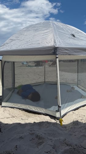 Customer photo review of Pop 'N Go® Playpen