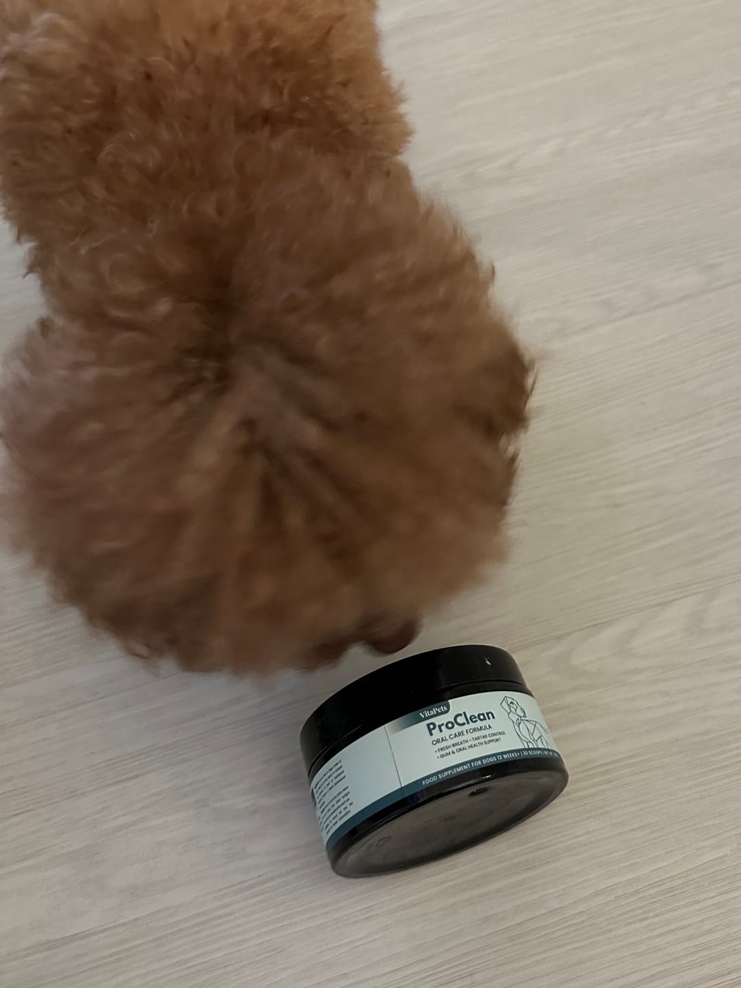 Customer photo review of ProClean™狗狗天然潔牙護齒配方