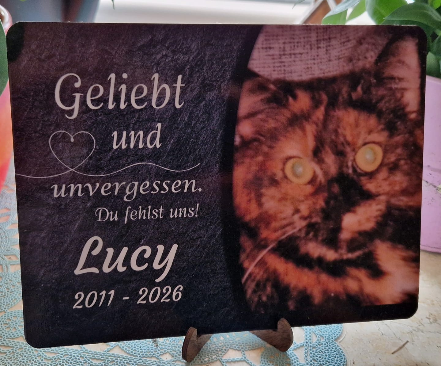 Customer photo review of Katzen Gedenktafel mit Foto & Spruch (UV- & Wetterfest)