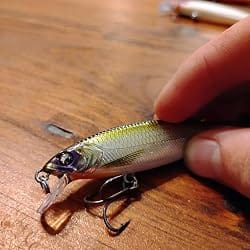 Customer photo review of TRUSCEND Suspending Jerkbait Fishing Lure with BKK Hooks & Rattle