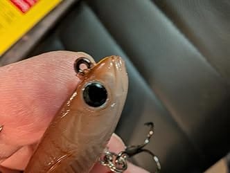 Customer photo review of TRUSCEND Duramax Pre-Rigged TPE Soft Swimbait Fishing Lures with BKK Hooks