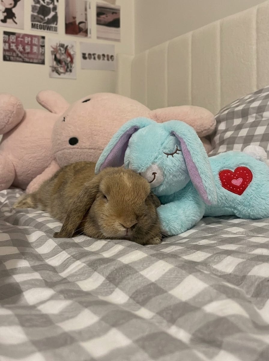Customer photo review of Calming Plush for Bunnies