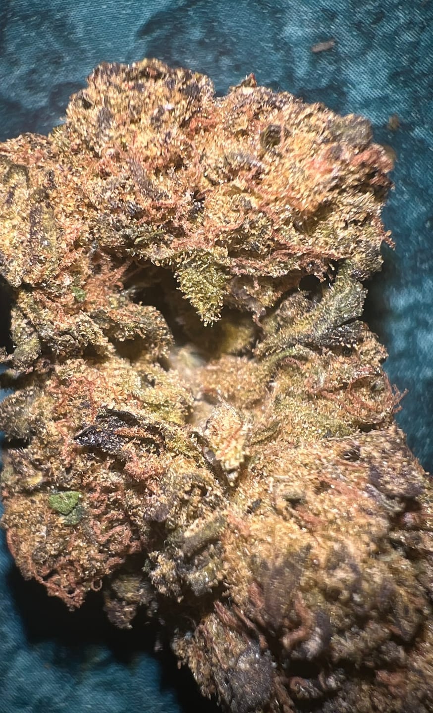 Customer photo review of Biscotti Cake - 28 Grams - Hybrid