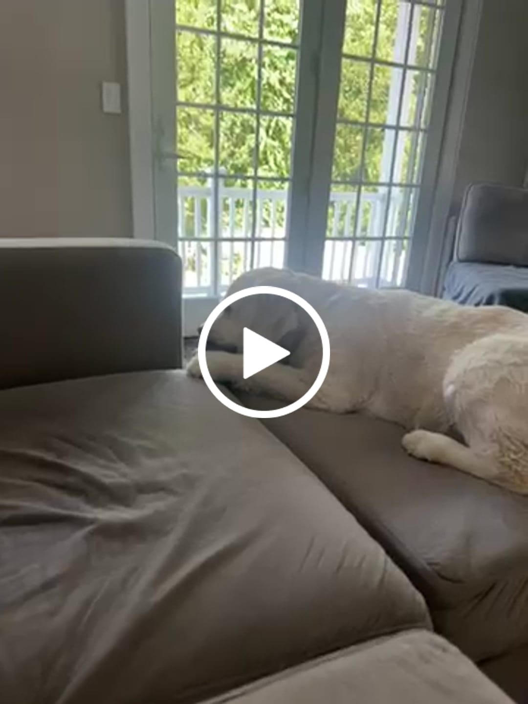 Customer video review of Best Seller Bundle - Our Most Popular Set