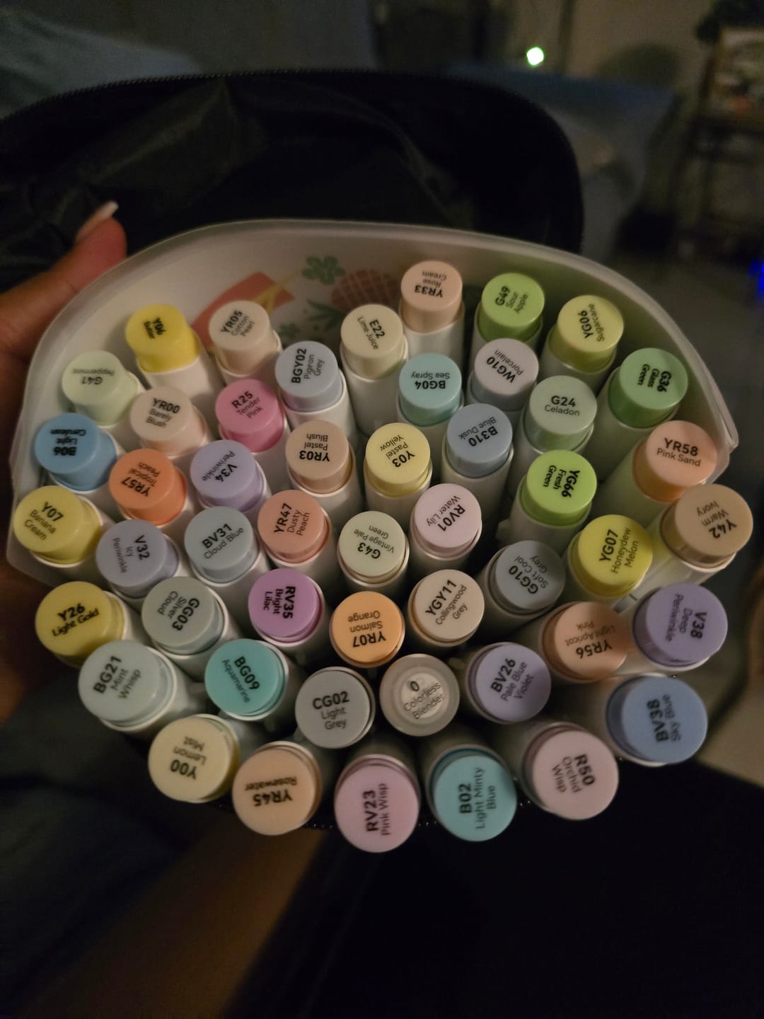 Customer photo review of Ohuhu Honolulu New 48 Pastel Colors Dual Tips Alcohol Art Markers - Blossoming (New Color Codes)