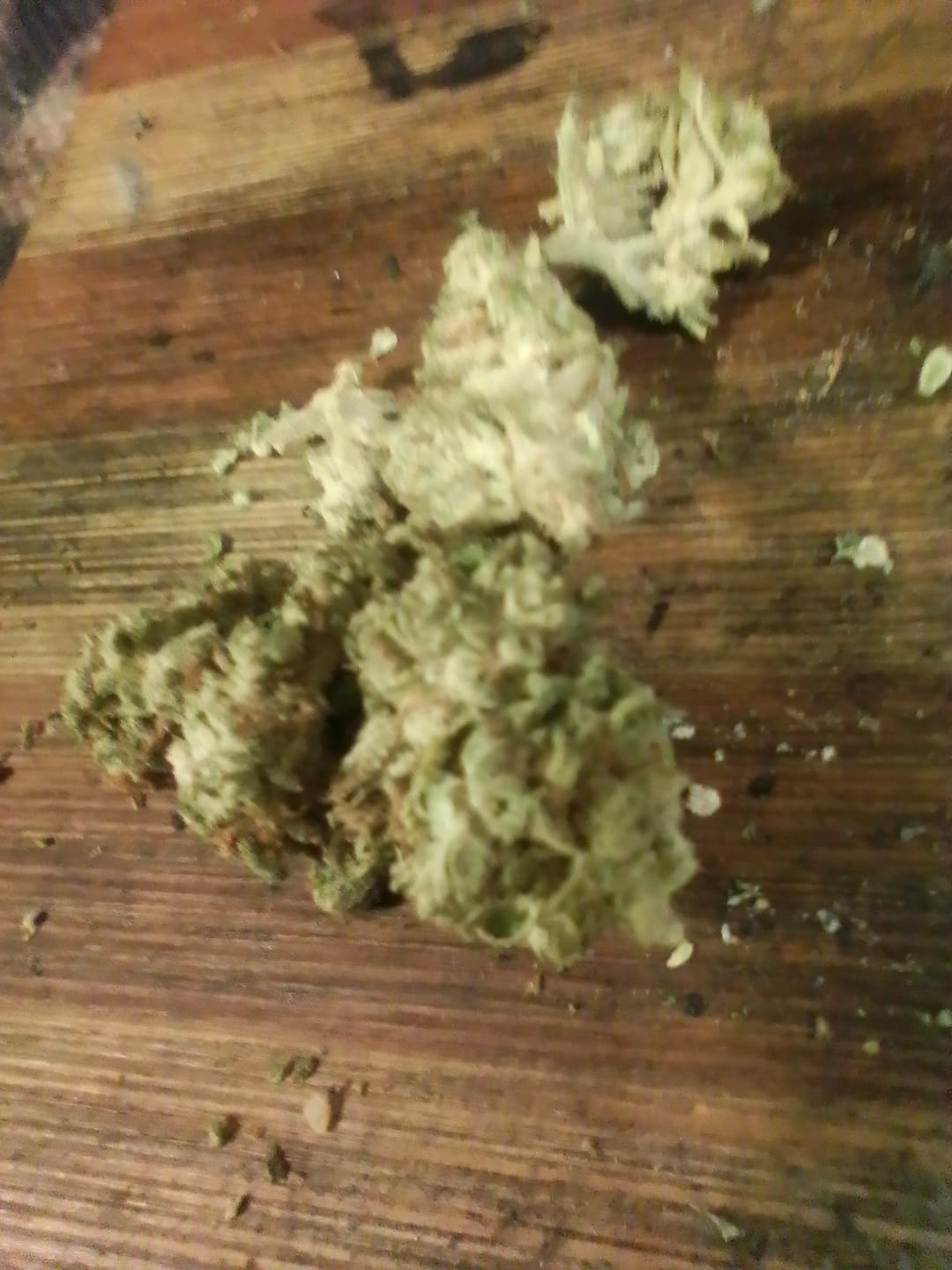 Customer photo review of Runtz THCA Flower (Budget)