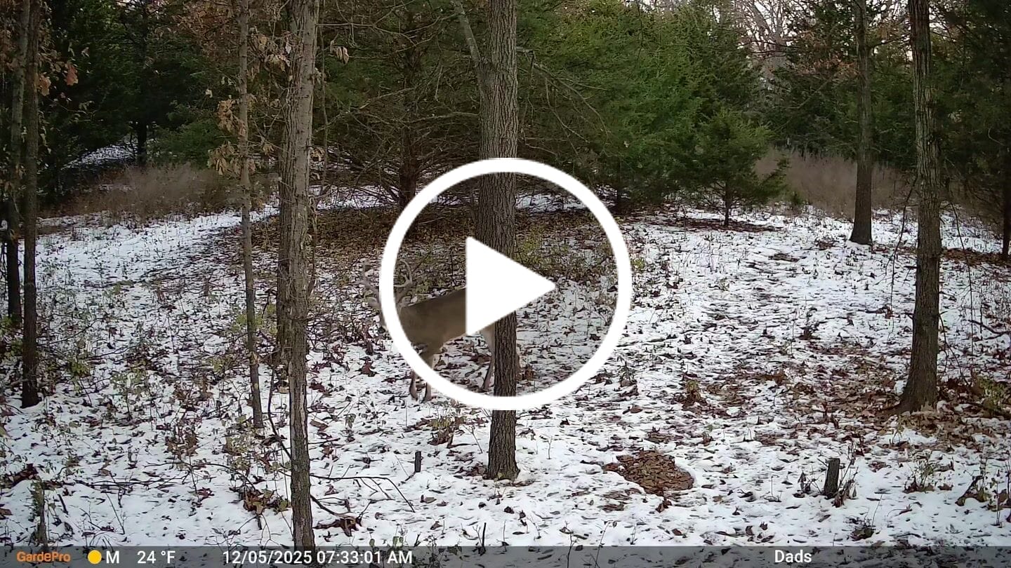 Customer video review of GardePro X66 Pro Cellular Trail Camera