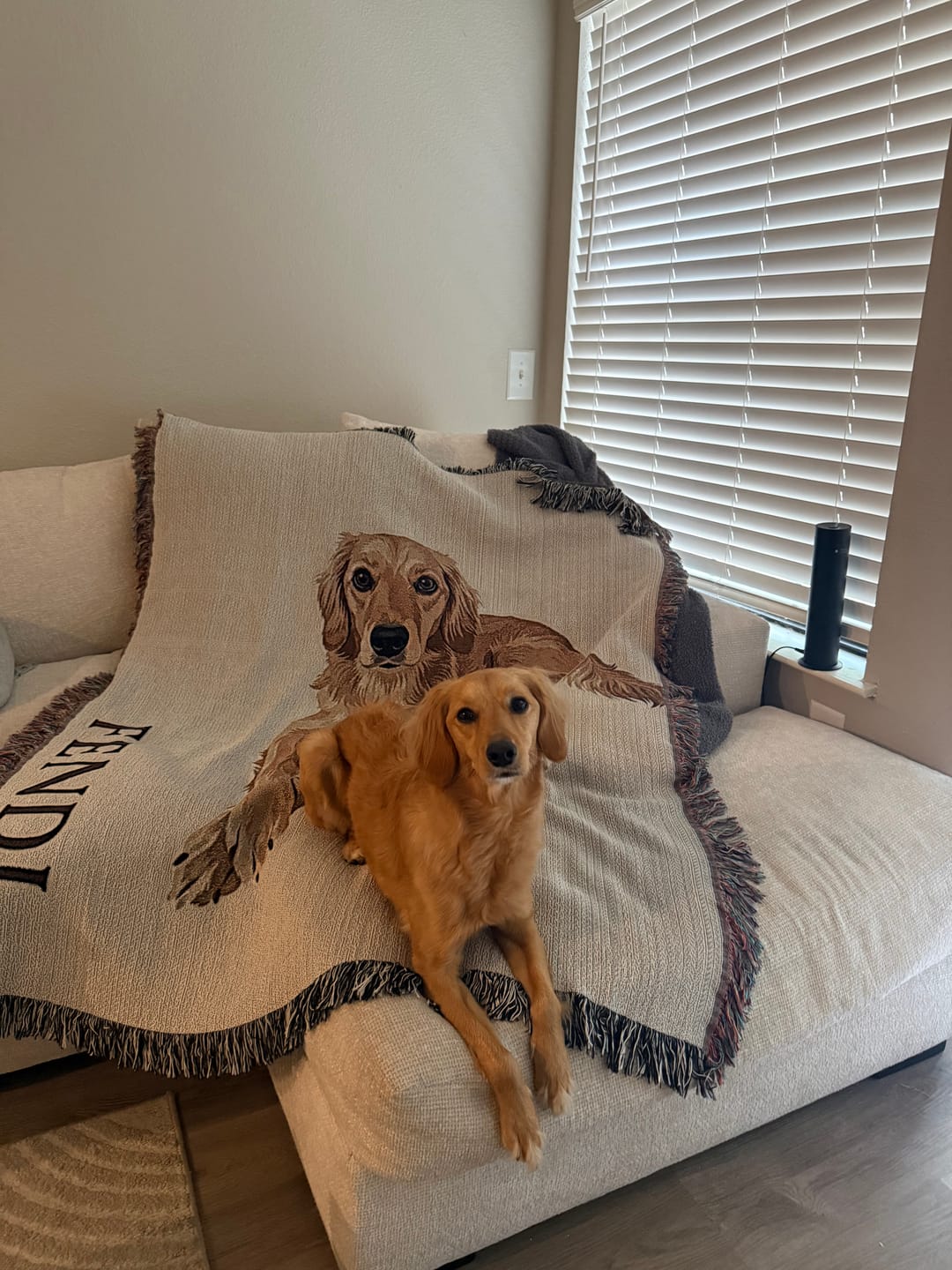 Customer photo review of Heirloom Pet Throw Blanket