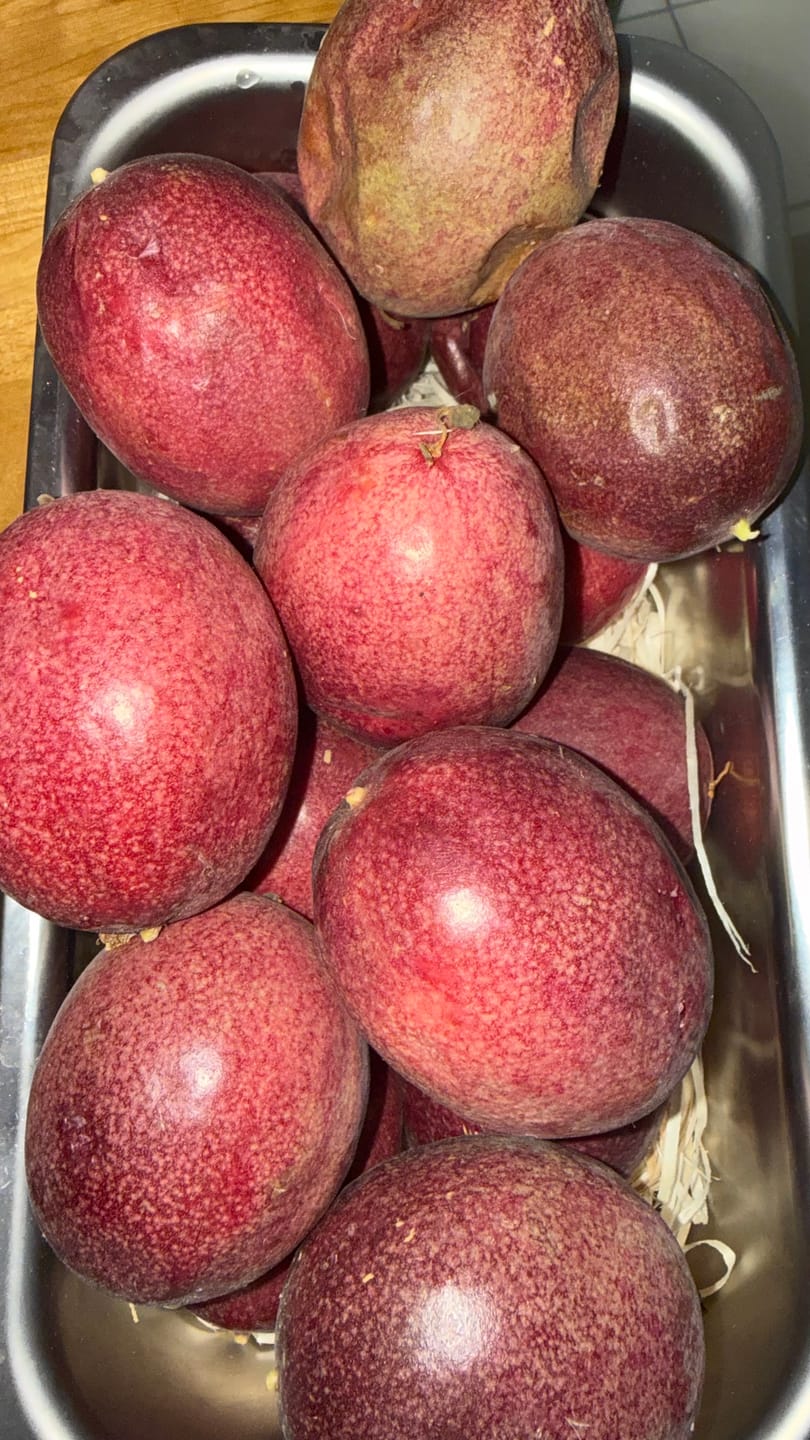 Customer photo review of Passionsfrüchte Bio von Salvador Retteraktion %