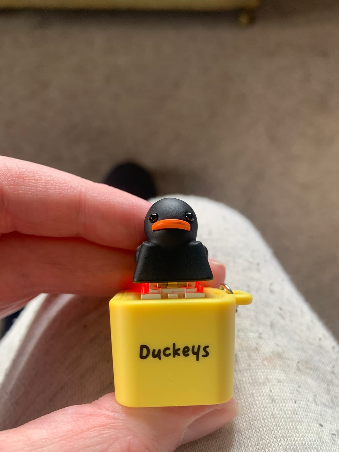 Customer photo review of Quackey - Fidget Toy that Quacks!