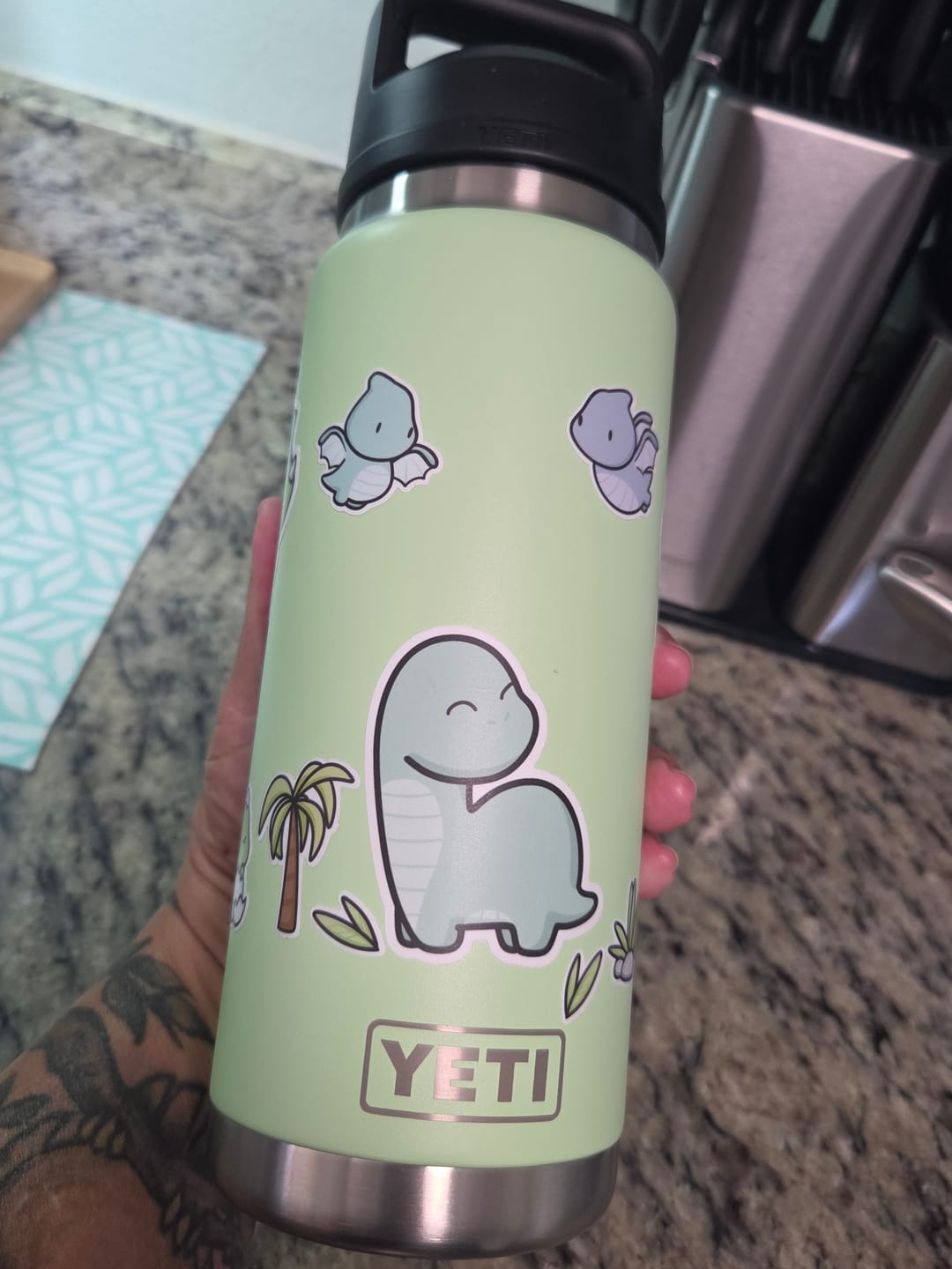 Customer photo review of Happy Dinos Variety Sticker Pack
