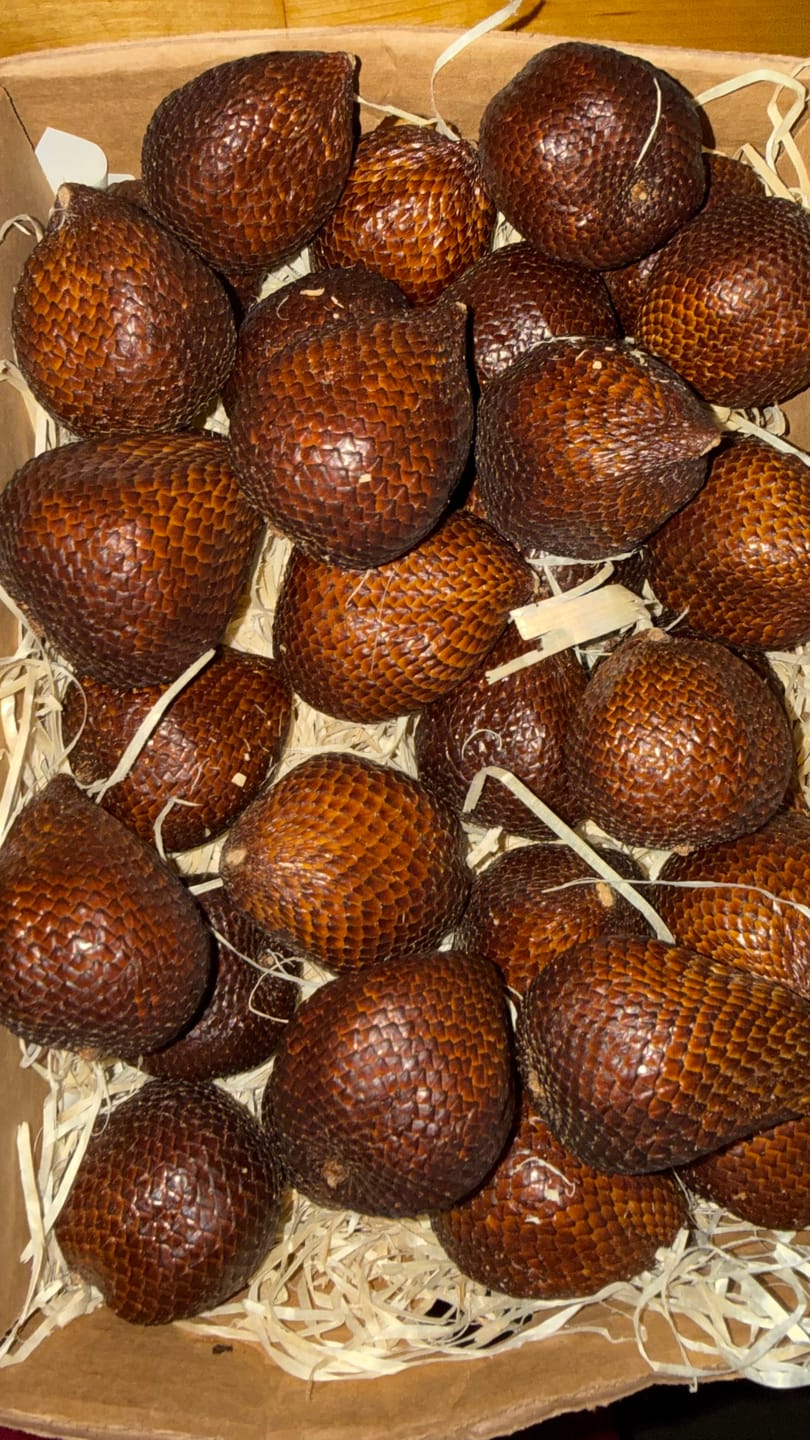 Customer photo review of Salak (Schlangenfrucht) naturbelassen