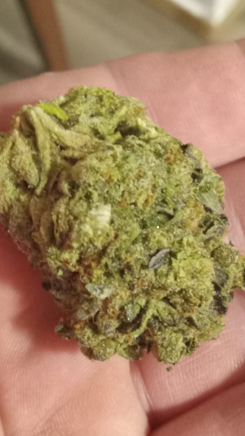 Customer photo review of Candy Gas Light Assist THCA