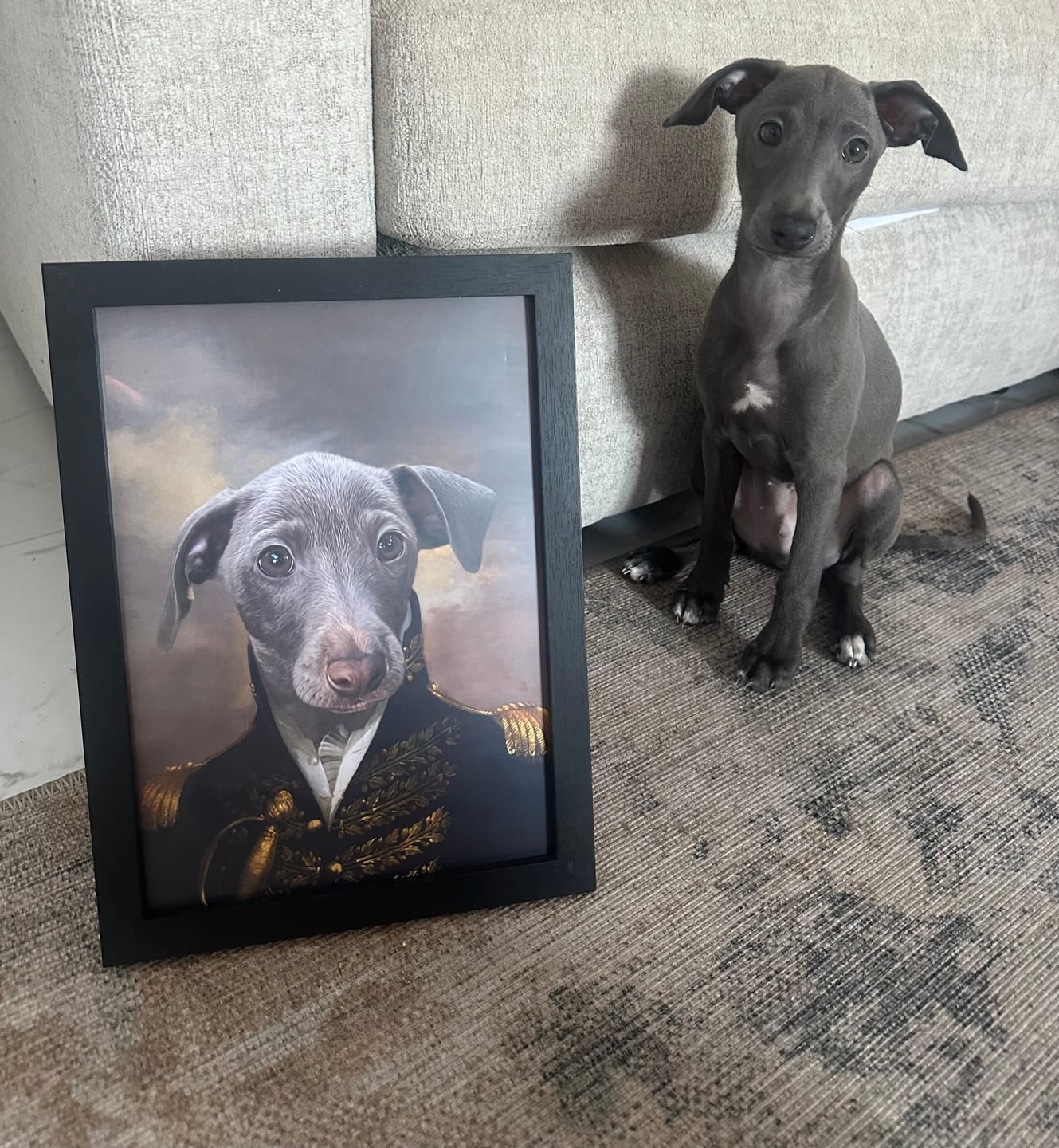 Customer photo review of The General Custom Pet Portrait