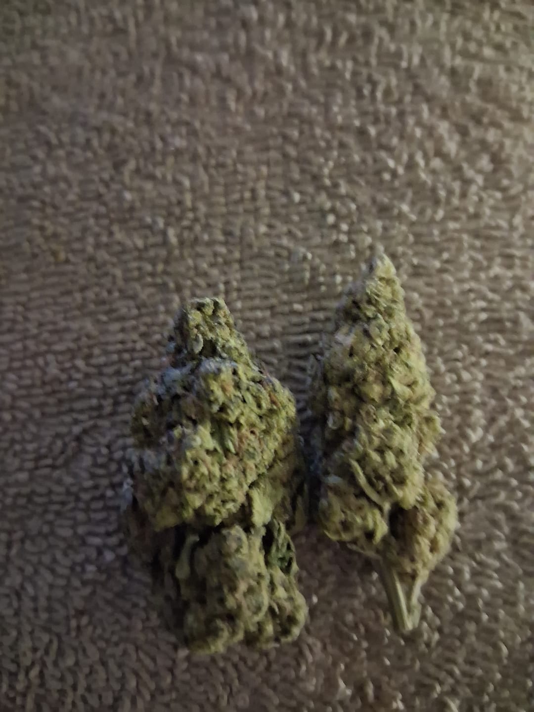 Customer photo review of Gelato Cake - 28 Grams - Hybrid