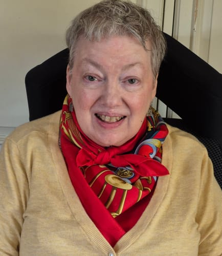 Customer photo review of Pristine Hermès Orgauphone Silk Scarf