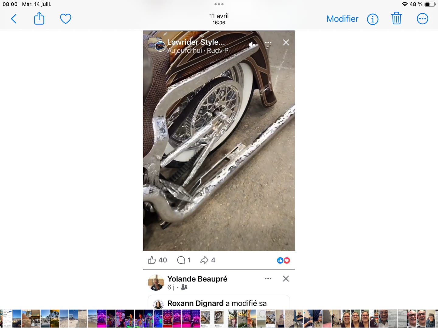 Customer photo review of Kuryakyn Unlighted Swingarm Cover 7815