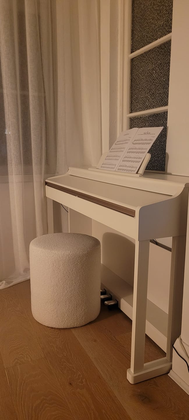Customer photo review of Donner DDP-100 Fully Weighted Digital Piano