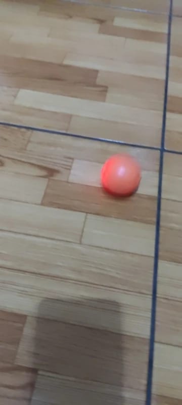 Customer photo review of Pelota Interactiva para Perros y Gatos – Movimiento Automático + Carga USB-C