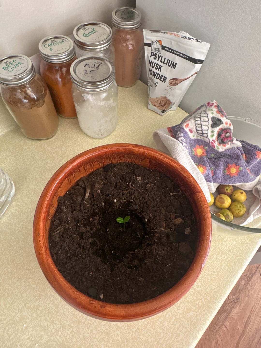 Customer photo review of Organic Key Limes 3 lbs