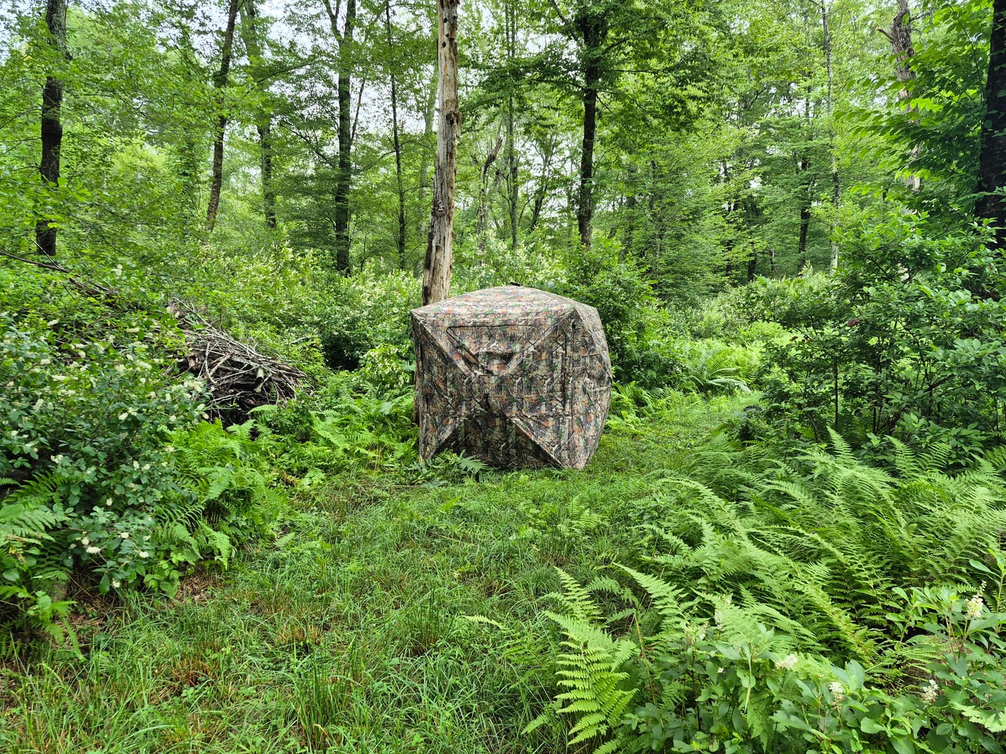 Customer photo review of FLASH SALE VisMaster 270° See-through Hunting Blind with No-Trip Door