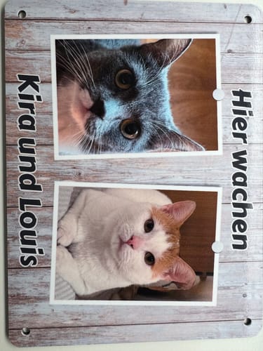 Customer photo review of Hunde-Türschild personalisiert mit Foto & Text (UV- und wetterfest)