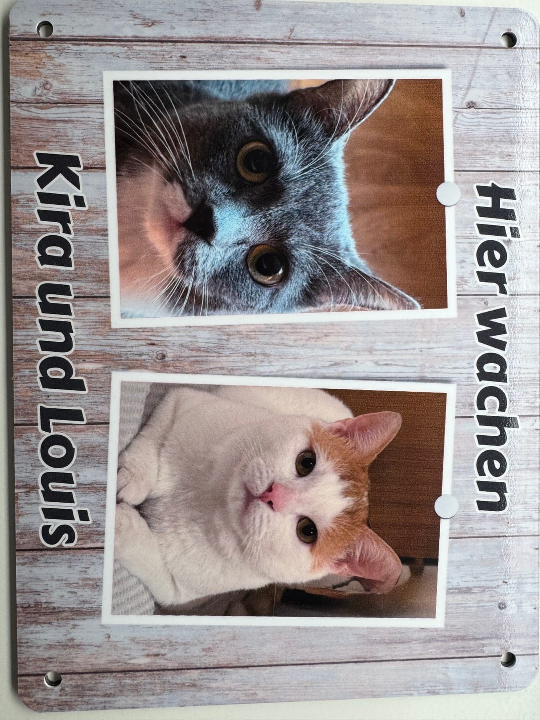 Customer photo review of Hunde-Türschild personalisiert mit Foto & Text (UV- und wetterfest)