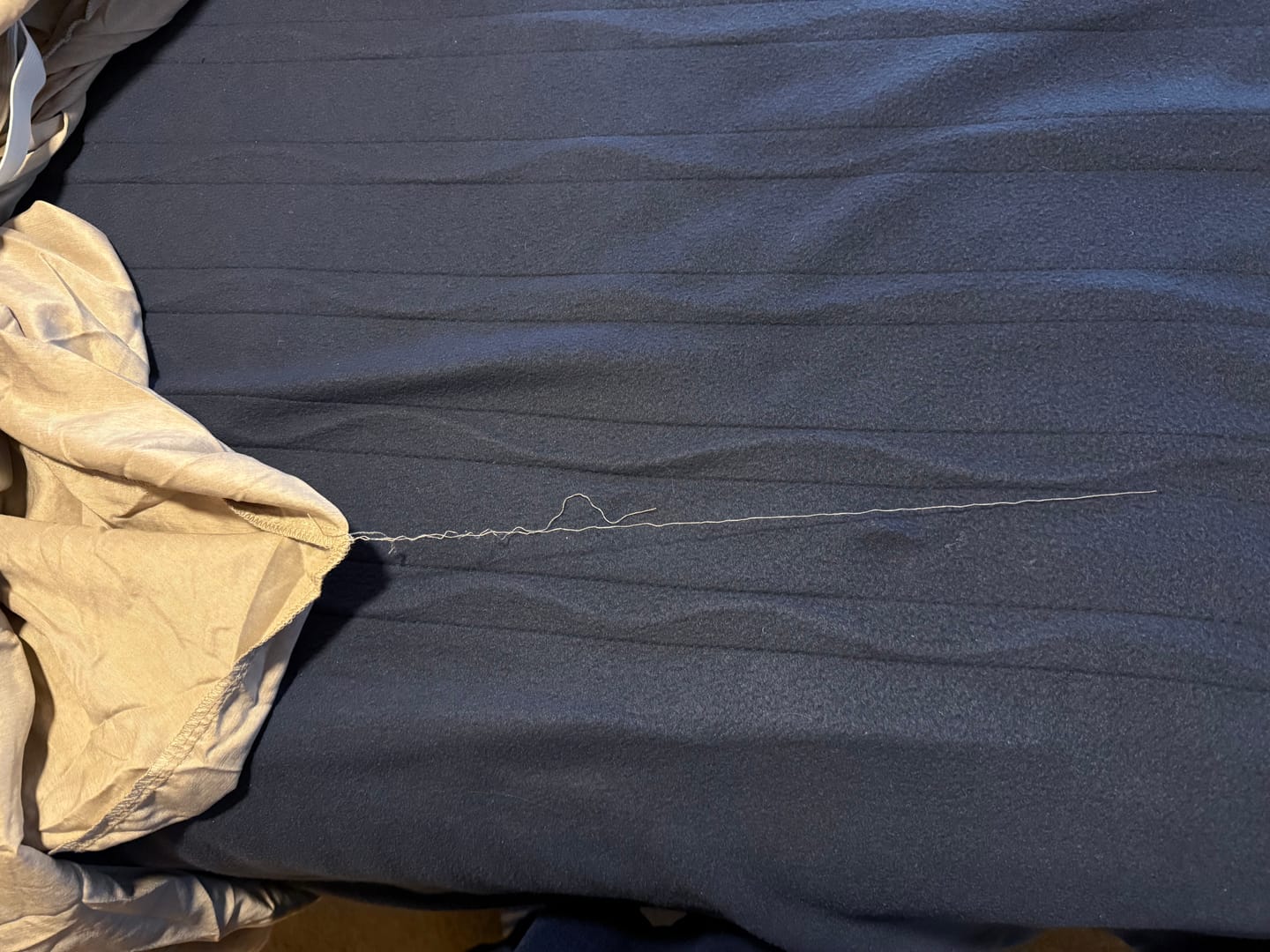 Customer photo review of Thread™ Microplush + Bamboo Sheets