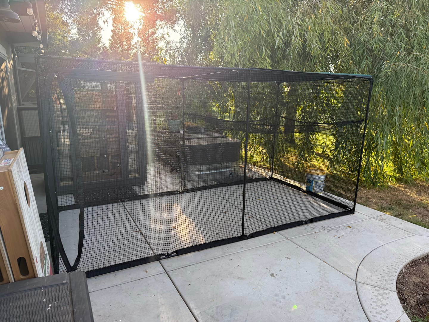 Customer photo review of Cat Enclosure | XL