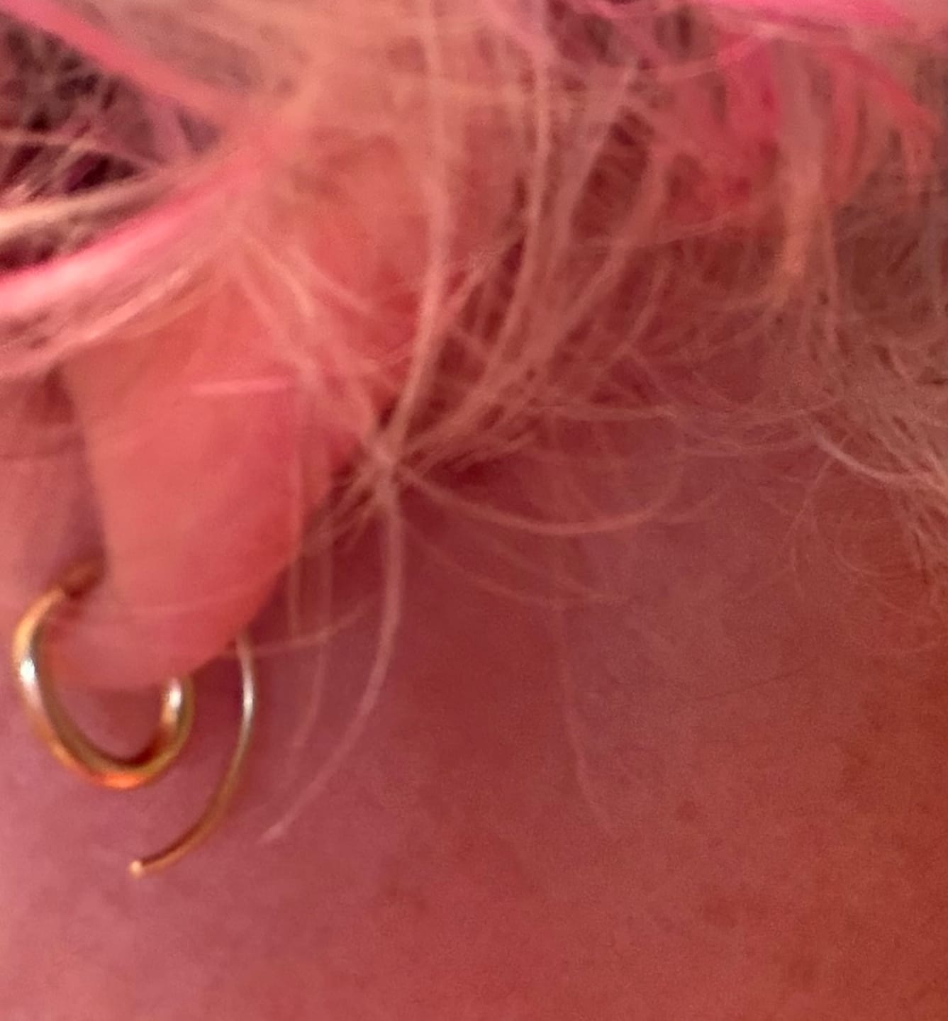 Customer photo review of Aero Earrings