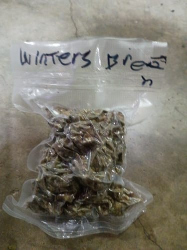 Winter Breath - Bulk - Hybrid photo review