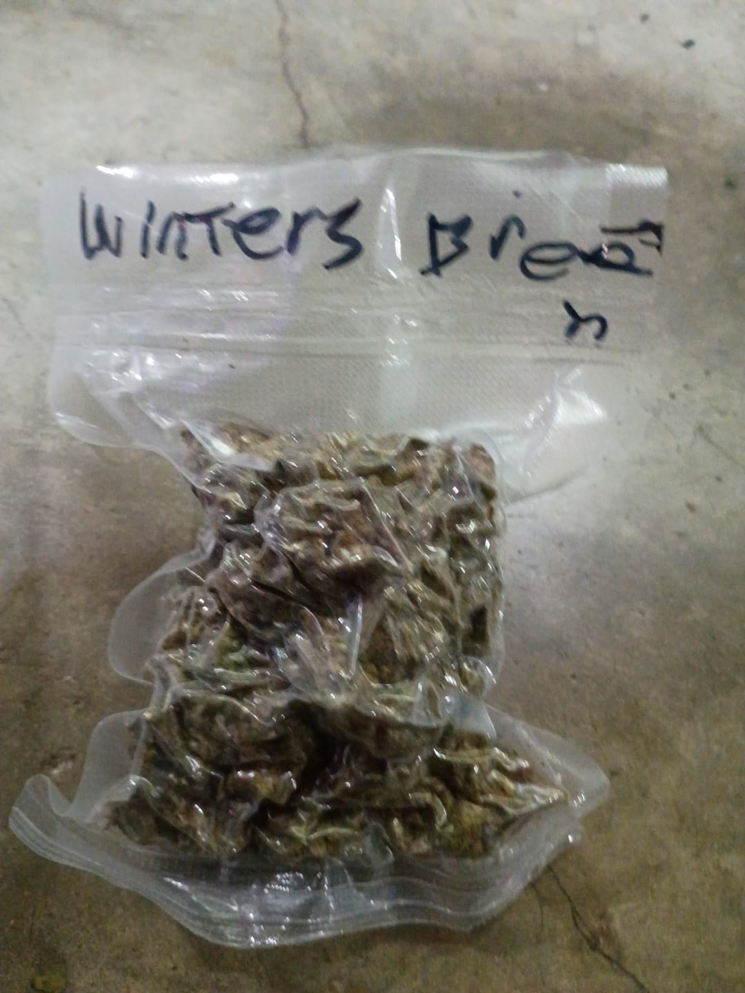 Customer photo review of Winter Breath - Bulk - Hybrid