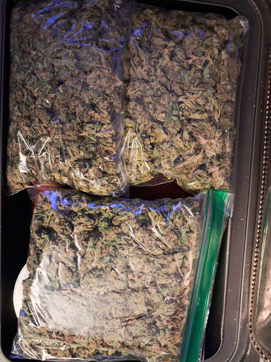 Customer photo review of Maui Wowie Minis - Bulk Minis - Sativa