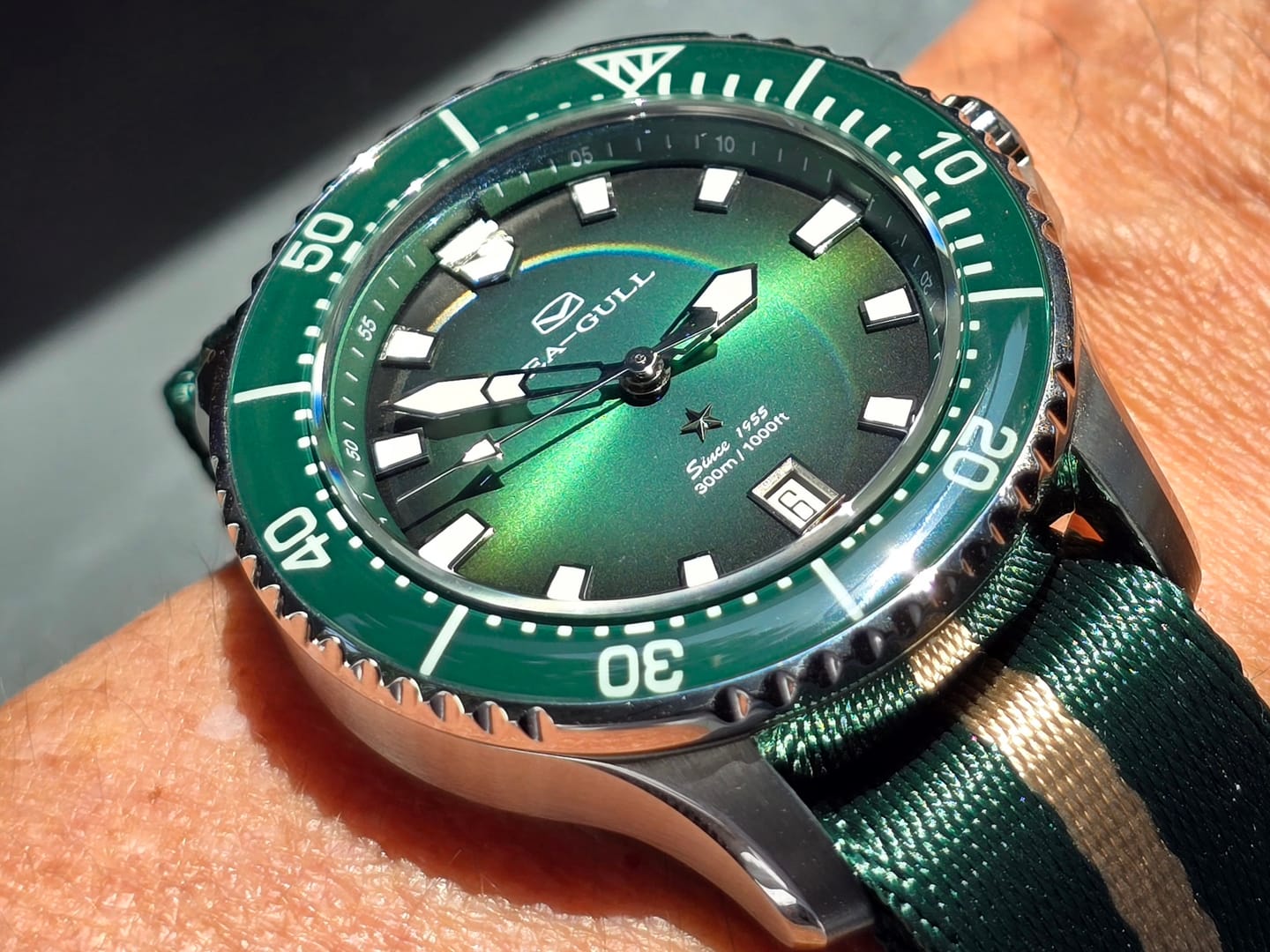 Customer photo review of Ocean Series Pro 300m Waterproof Diving Watch 41mm