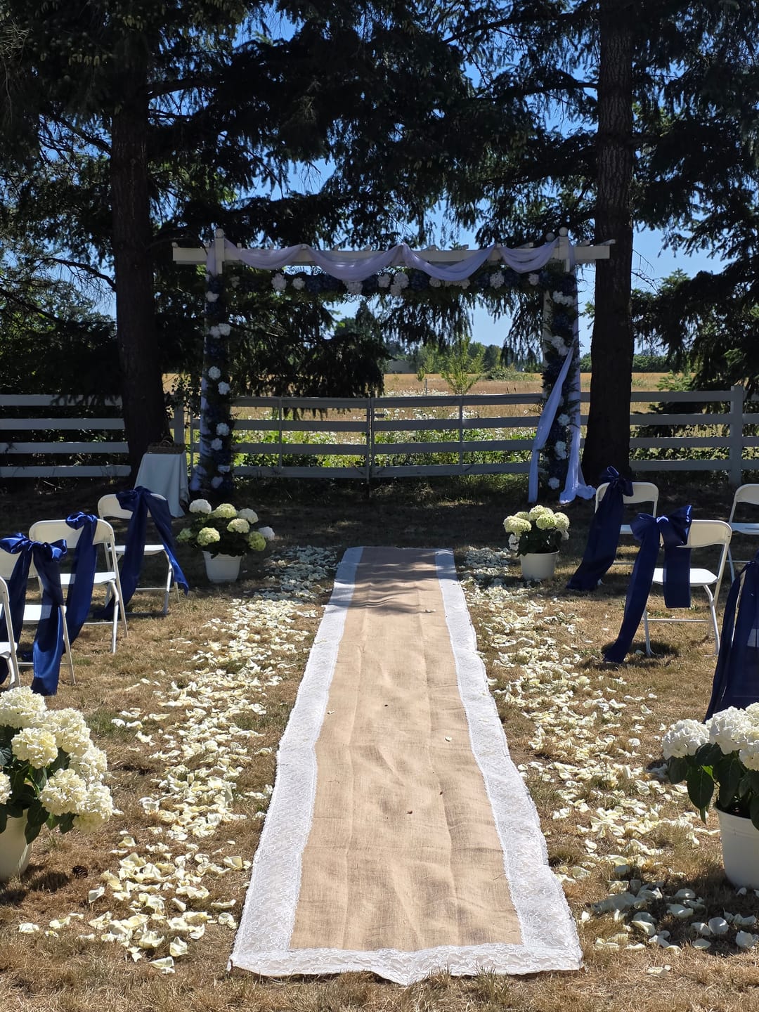 Customer photo review of White Rose Petals