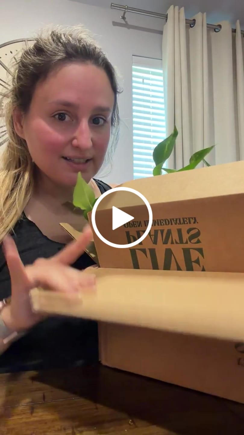 Customer video review of Pothos Plants Bundle - Set of 4