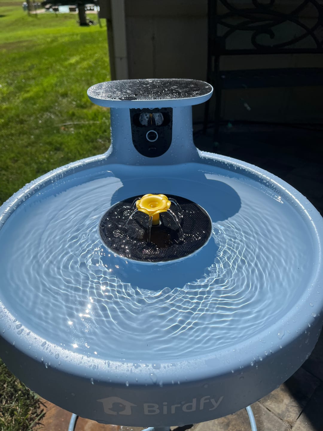 Customer photo review of Birdfy Bath Pro with Stand - Solar-Powered Smart Birdbath with Fountain