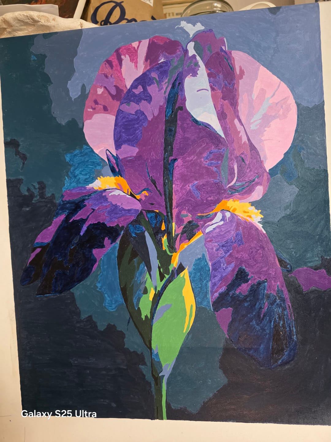 Customer photo review of Velvet Iris | Paint by Number