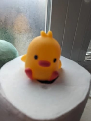 Customer photo review of Duck LED Night Light