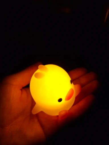 Customer photo review of Duck LED Night Light
