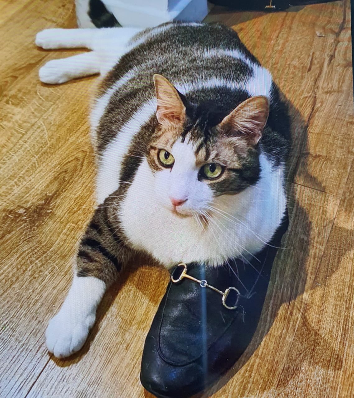 Customer photo review of Kit Personnalisé