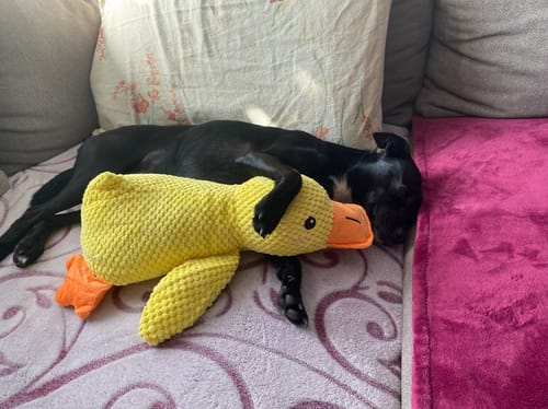 Foto zur Bewertung von Veronika W.