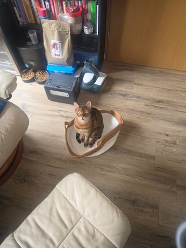 Kundenbewertung mit Foto zu Fellnest Katzenkorb