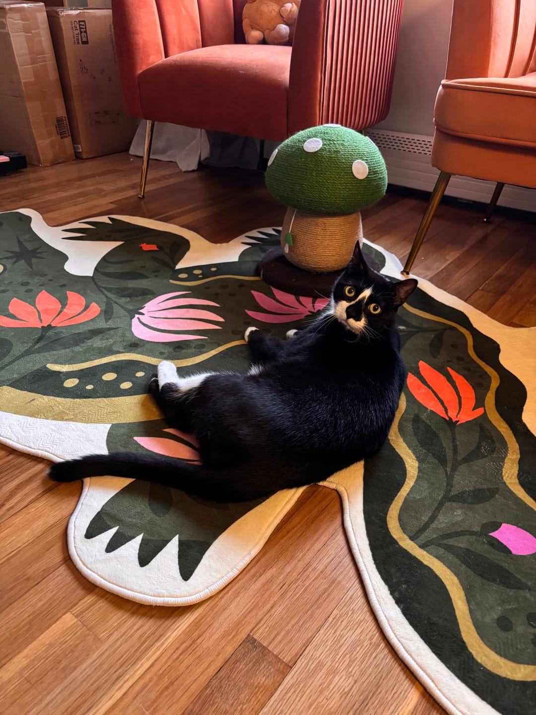 Customer photo review of Green Animal Shaped Crocodile Rug by Jessica Miller