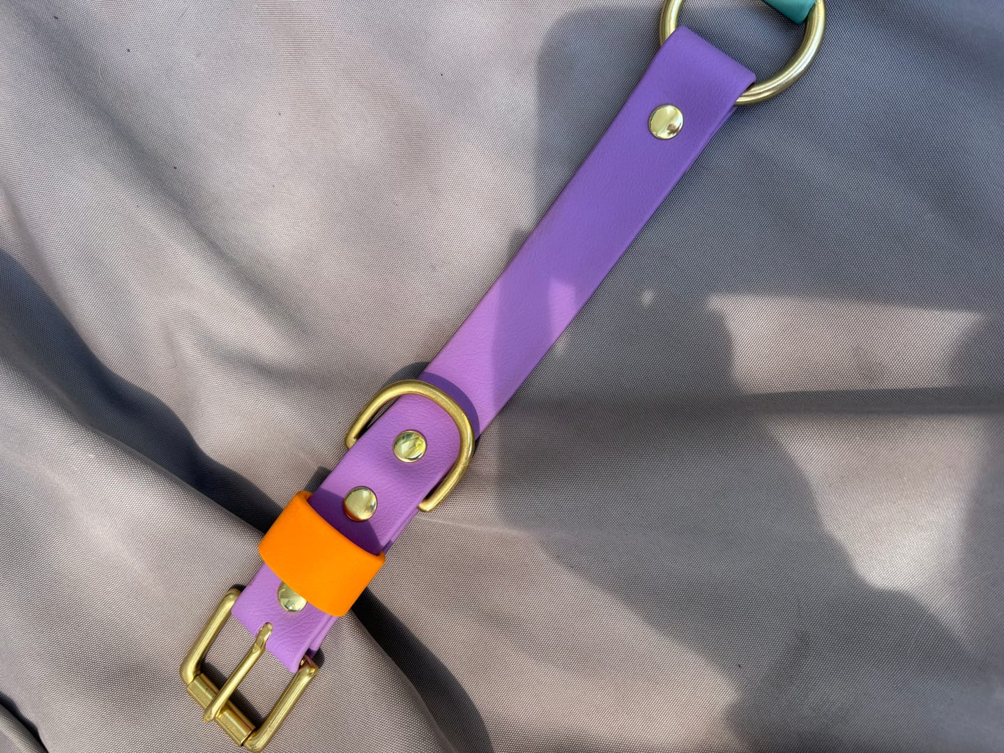 Customer photo review of Two Tone O Ring Collar - Waterproof BioThane® Custom Dog Collar