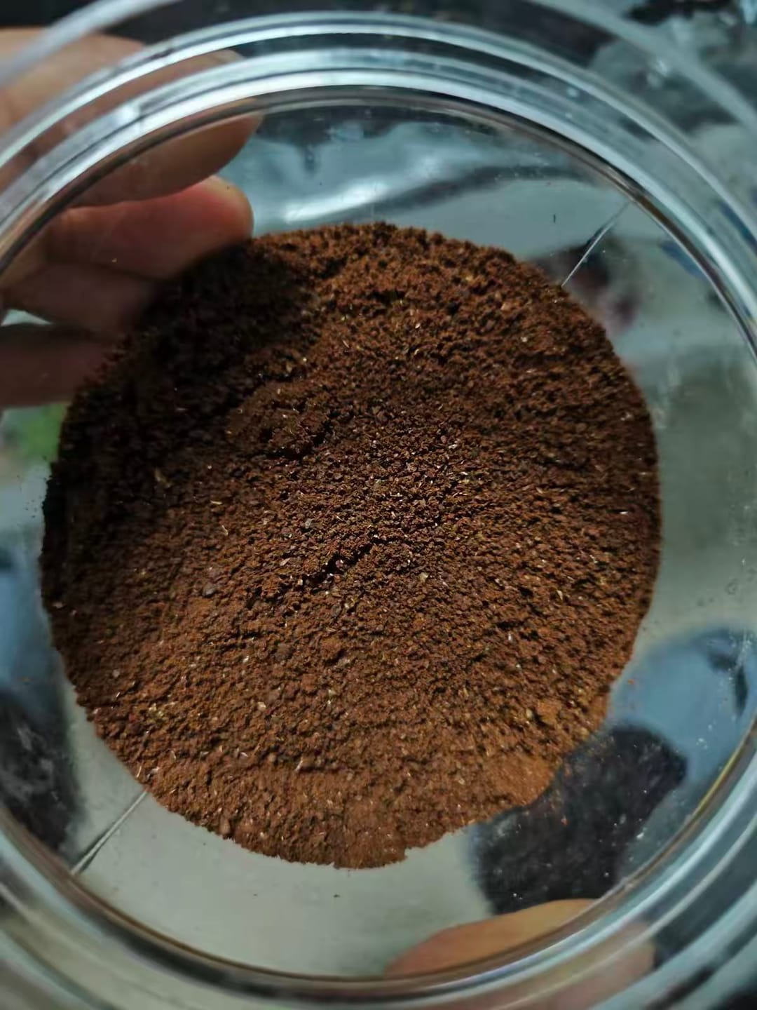 Customer photo review of Panama Geisha Single-Origin Coffee Beans | 12oz