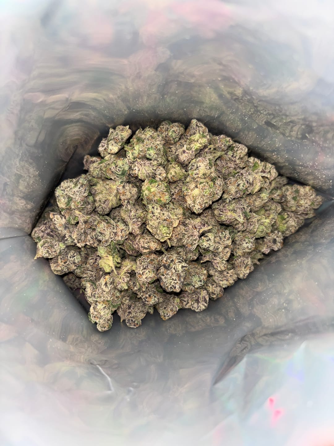 Customer photo review of Boutique Exotics Lemon Dior - Bulk - Hybrid