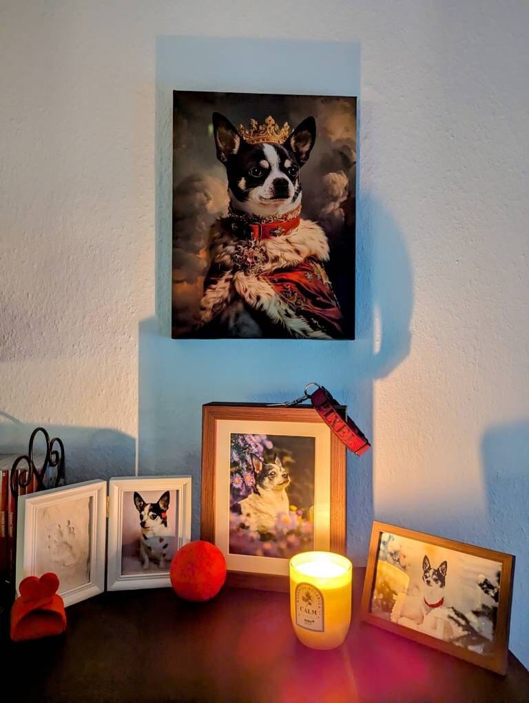 Customer photo review of Custom Royal Pet Portrait Canvas – Personalized Dog King Painting