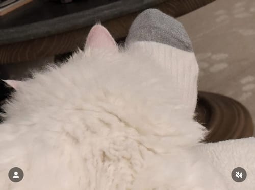 Customer photo review of Bamboo Compression Socks